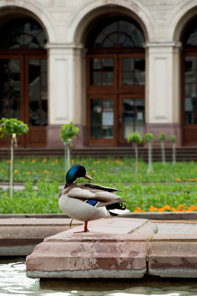 Naturkundemuseum