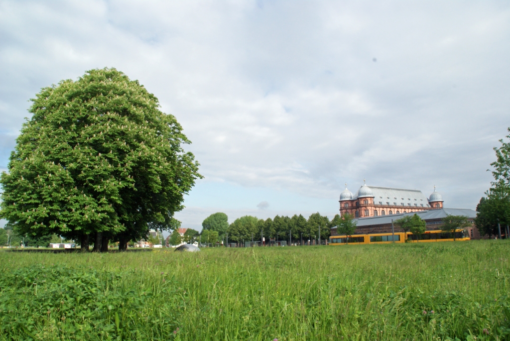 Otto-Dullenkopf-Park